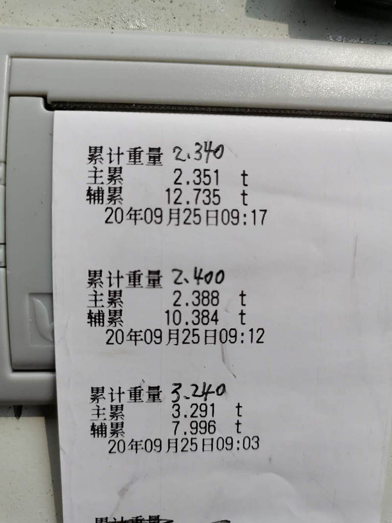 河北電子皮帶秤廠(chǎng)家,價(jià)格多少