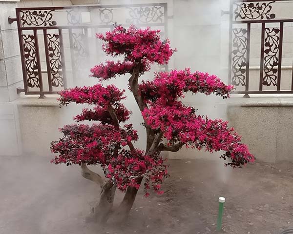霧森系統價(jià)格、三門(mén)峽霧森報價(jià)