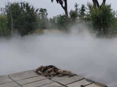 商丘虞城狀元橋公園景觀(guān)霧森